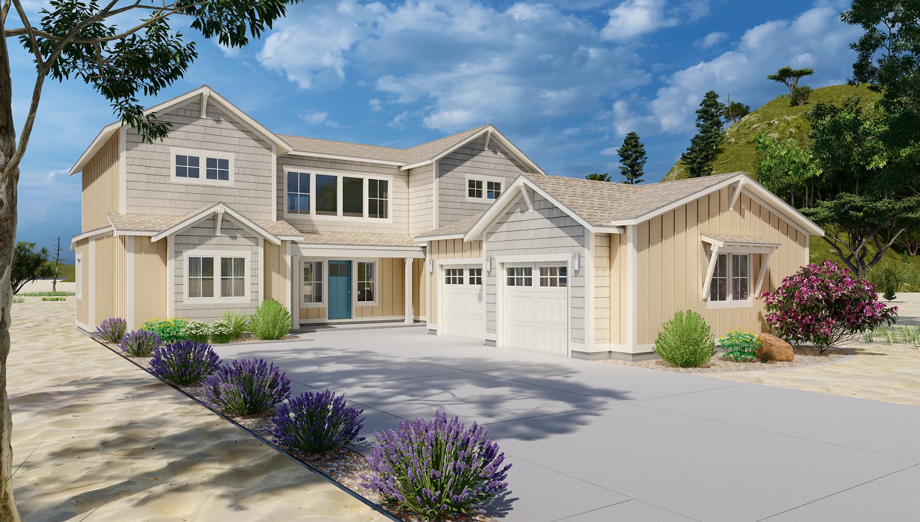 Lupine Coastal Front